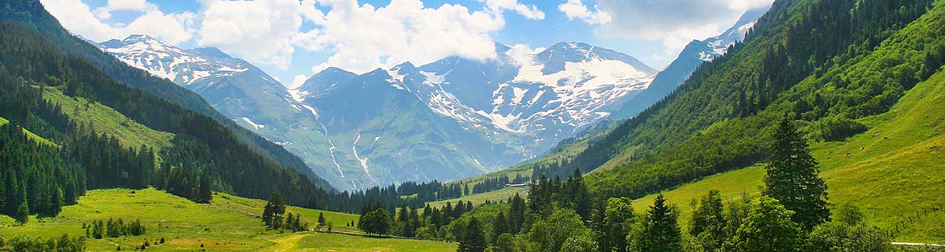 Schweizer Berglandschaft
